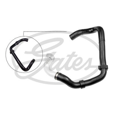 Radiator hose for golf plus - hose, vw