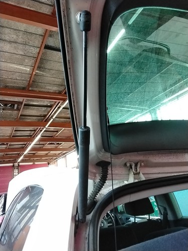 Boot tailgate support strut - or,