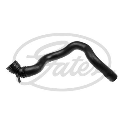 Radiator hose for golf - for, vw