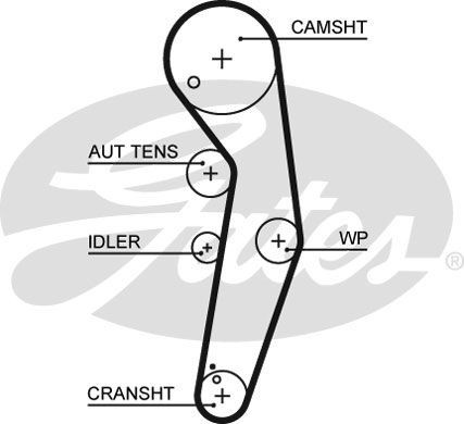Gates timing belt - gates, &