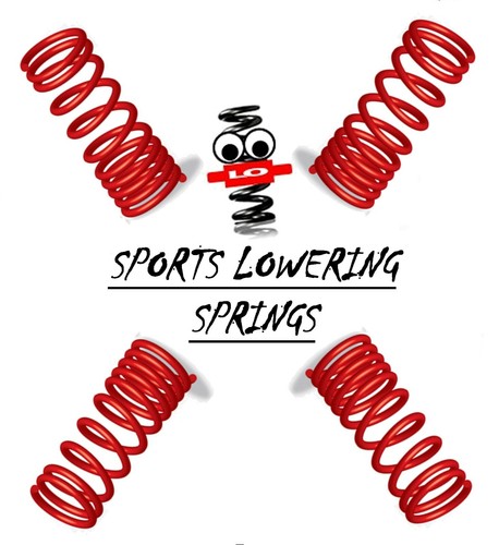 Lowering springs for - lowering,