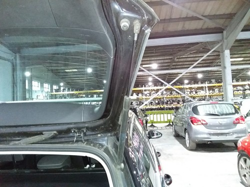Boot tailgate support - or, strut